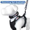 Pawtitas 6 FT Padded Dog Leash with Comfortable Neoprene Padding