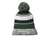 SPORT-TEK Pom Pom Team Beanie OSFA Forest Green/Black/White