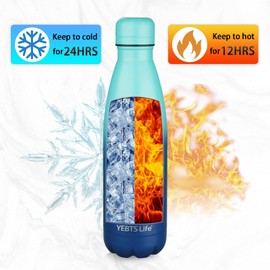 Insulated Water Bottle,2 Pack-17oz Stainless Steel Water Bottles with straw lid,Metal Sports Thermos Water Bottles for Boys,Girls,Double Wall Vacuum BPA-Free Flask for School(Purple-Ocean Dream)