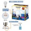 Panasonic LED Bulb