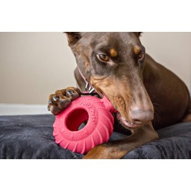 Jolly Pets Tuff Treader Dog Toy with Handle, 6 Inches, Red, Model:JTR23, All Breed Sizes