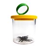 Safari Toys World's Best Bug Jar