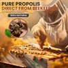 Pure Propolis Powder (100g) 100% Natural. Direct Propolis from Beekeeper.