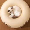 Cat Tunnel Bed with 2 Ventilated Windows Removable Washable Felt
