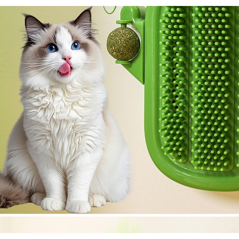 Pet Scratch the Itch, 5 Inch x 5 Inch Plastic
