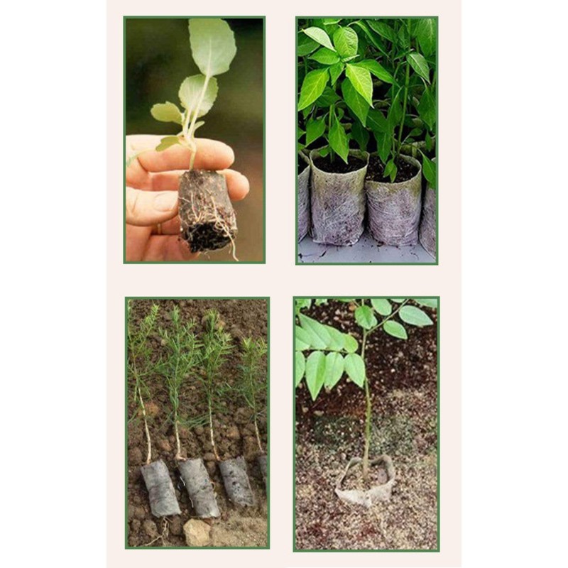 Leap Raupe Seedling Pot, Seedling Pot, Non-woven Pot, Non-woven Planter,
