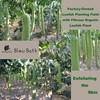 Bleu Bath (6 Pack) Dual-Sided Exfoliating Skin Towel Natural Terry