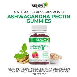 Renew Actives Ashwagandha 100MG per 4 Gummies – Memory, Focus & Energy Boost – Traditionally Used as a Rejuvenative Tonic – Vegan, Herbal Adaptogen – Made in Canada – 60 Gummies