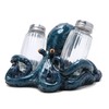 Hodao Octopus With Salt and Pepper Shaker Figurines Decorations Octopus