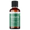 Viva Doria Eucalyptus Essential Oil, 100% Pure, Natural, Essential Globulus