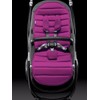 Britax Affinity Color Pack, Cool Berry