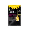 Garnier Olia Permanent Hair Dye, Ammonia-Free Hair Color, 2P Black