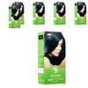 TS Good dyeing, No. 3 natural black, 6 pcs / TS 착한염색, 3호 자연흑색, 6개