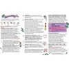 Keratina Capilar Origen Botánico 120 ml - Tratamiento Alisador