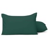 Aspire Homeware Pillow Cases 2 Pack – 100% Brushed Microfiber