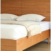 Pure cotton bed sheet hotel bed cover 60 count flat sheet Bed SS