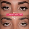 Renata Beauty Eyebrow Colour - Premium Eyebrow Dye - 15
