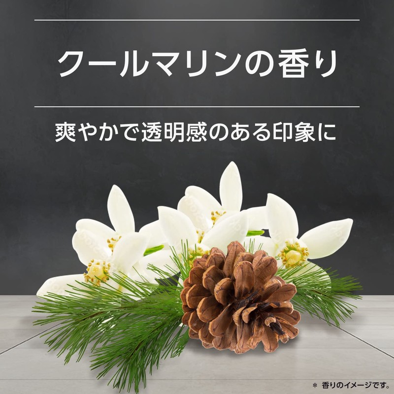 AXE Black Men's Body Soap Pump, 13.1 oz (370 g)