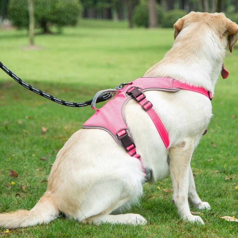 BELPRO Multi-Use Support Dog Harness, Escape Proof No Pull Reflective