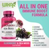 Wixar Naturals Elderberry and Sea Moss Supreme Capsules - Natural