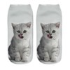 Donne Ragazze Cute Cat 6PC Stampa calze sportive calza calzatura