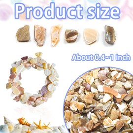 Featuman Natural Crushed Shells Chips Irregular, White Sea Shells for Crafting, 14.5 oz Crushed Seashells Pieces Chips, Small Shells Bulk for Decoration, Weddings Party, Succulent Plants, Wall Art