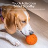 hipibbo Interactive Dog Toys Dog Ball, Durable Motion Pet Toys