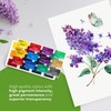 Sonnet Watercolour Paint Set, 12 Watercolour Paints for Floral &