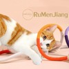 Cat Toy, Chewing Toy, Toothpaste, Bruxing Stick, Natural Safe, Chewing