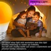 Elmoyle Amber Sleep Light Bulbs 1800k, Blue Light Blocking, Dim