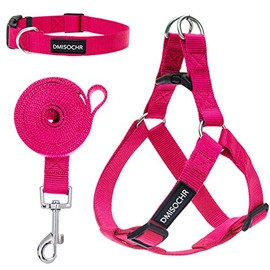 No Pull Dog Harness - Step in Easy Walking Dog Harness and Leash for Small Medium Large Dog - Escape Proof Adjustable Soft Nylon Full Body Dog Harness Leash Collar Set