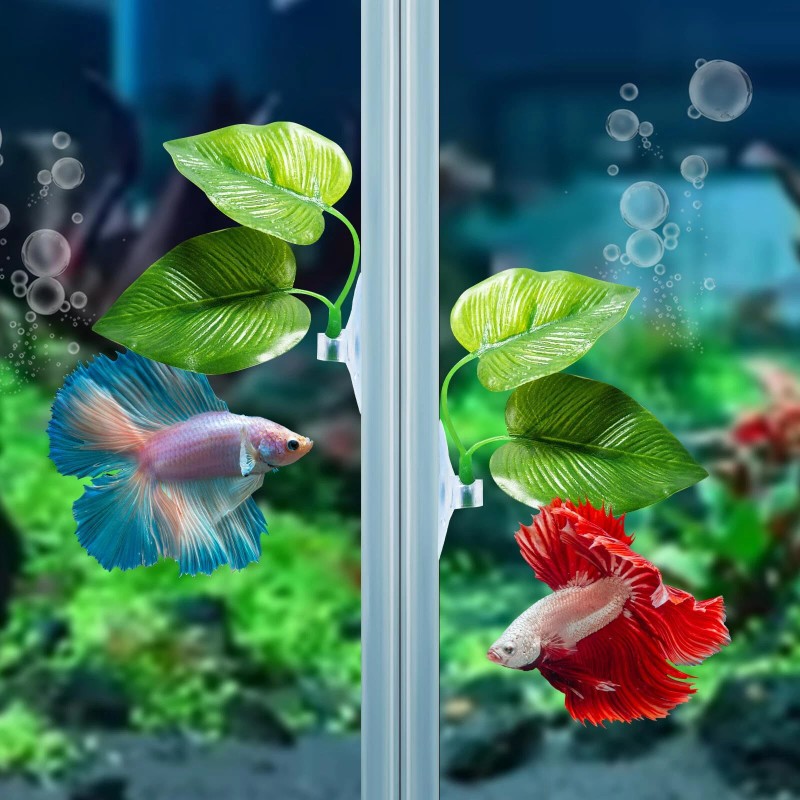 CousDUoBe 3 Pack Betta Fish Leaf Pad Improves Betta's Health