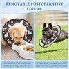 Poochies Sprouts Dog Collars for X-Large Dogs, Soft Cone for