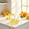 2 Pack Bird shape Lemon Squeezer, Lemon Juicer Acrylic Manual