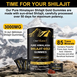 Shilajit Gummies 3000mg for Men & Women, Natural Himalayan Shilajit Supplement with Ashwagandha Gokshura for Energy, Immunity & Focus, Sugar-Free, Non GMO, 60 Gummies
