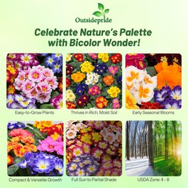 Outsidepride 50 Seeds Annual Primula Common Primrose Bicolor Flower Seed Mix for Planting