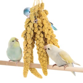 BUCATSTATE Spray Millet for Birds, Sun-Dried Healthy Millet Parakeet Treats for Parrots Cockatiel Lovebird Finch, GMO-Free Parakeet Food - 1lb