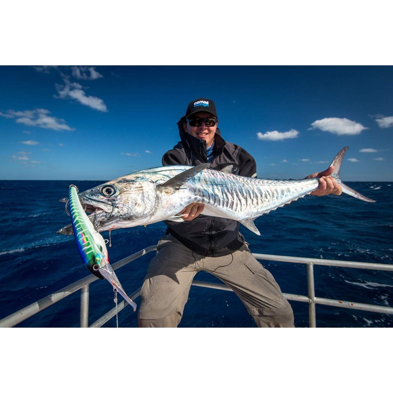 Nomad DTX Minnow 165mm Sinking Hard Body Lure