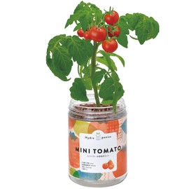 Seishin Pottery GD-100205 Winter/Spring Home Garden, Easy Cultivation Kit, Tomatoes, Vegetables, Cultivation Set, (Free Research/Food Education), Pot Diameter Approx. 2.8 inches (7 cm), Green Pets,