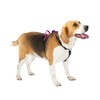 LufeLux Non-Restrictive Easy Walk Freedom No Pull Dog Harness, Keep