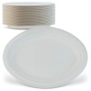 Green Earth, 10-Inch, 125-Count, Compostable Plates, Natural Bagasse (Sugarcane Fiber),