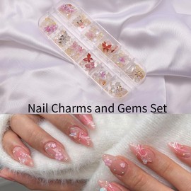 zgiraloca Gold and Silver Nail Charms Kit - 3 Pack Mixed 3D Butterfly，Rhinestones, Pearls, Gems, Flowers & Bows for Nail Art Design (Rainbow A)