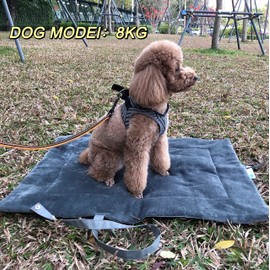 Pawsse Portable Dog Mat, Dog Travel Bed, Foldable Washable Dog Cushion, Pet Mat with Handles, Dog Mat for Small Medium Cats