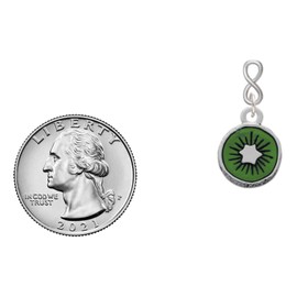 Delight Jewelry Silvertone 3-D Green Enamel Kiwi Silvertone Infinity Post Earrings