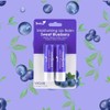 Pretty Moisturising Lip Balm – Sweet Blueberry (Pack of 2)