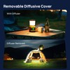Consciot LED Battery Powered Camping Lantern, 1000LM, 4 Light Modes,