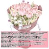 オーディオファン メッセージカード グリーディング 花束 二つ折り ミニ 小さめ お礼 お祝い きらきら