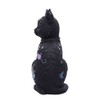 Nemesis Now Nine Lives Cat Figurine, Black, 22cm, Synthetic Resin