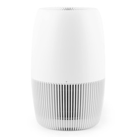 Arm & Hammer, AH301W HEPA Air Purifier for Home Office, Desktop Cleaner Removes 99.97% Allergies, Smoke, Dust, Pollen, Pet Dander, Odor, Germs, Mold, Pearl White