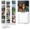2025-2026 Wall Calendar Nova Scotia Duck Tolling Retriever Planner Calendar,